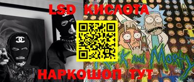 спиды Донской