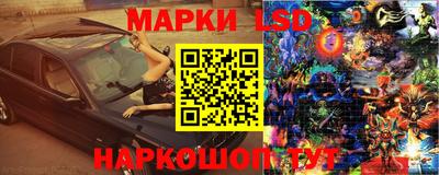 спиды Донской