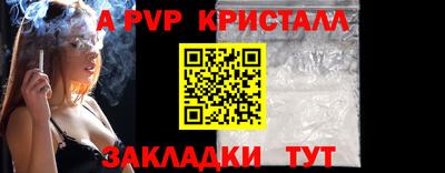 спиды Донской