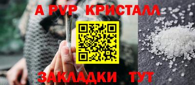 спиды Донской