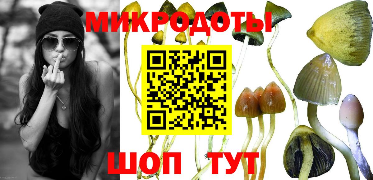 Псилоцибиновые грибы ЛСД Ялуторовск