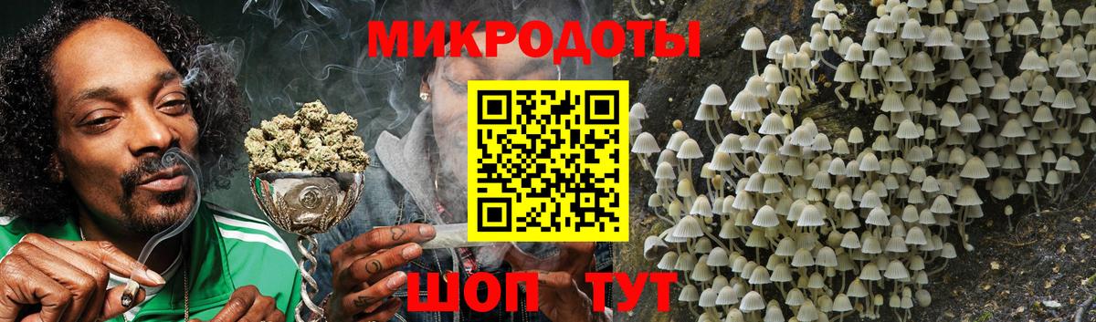 Ялуторовск  Псилоцибиновые грибы Psilocybe  Вход с VPN 